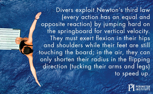 Aerial shot of a diver, arms spread wide, on the edge of a diving board about to jump